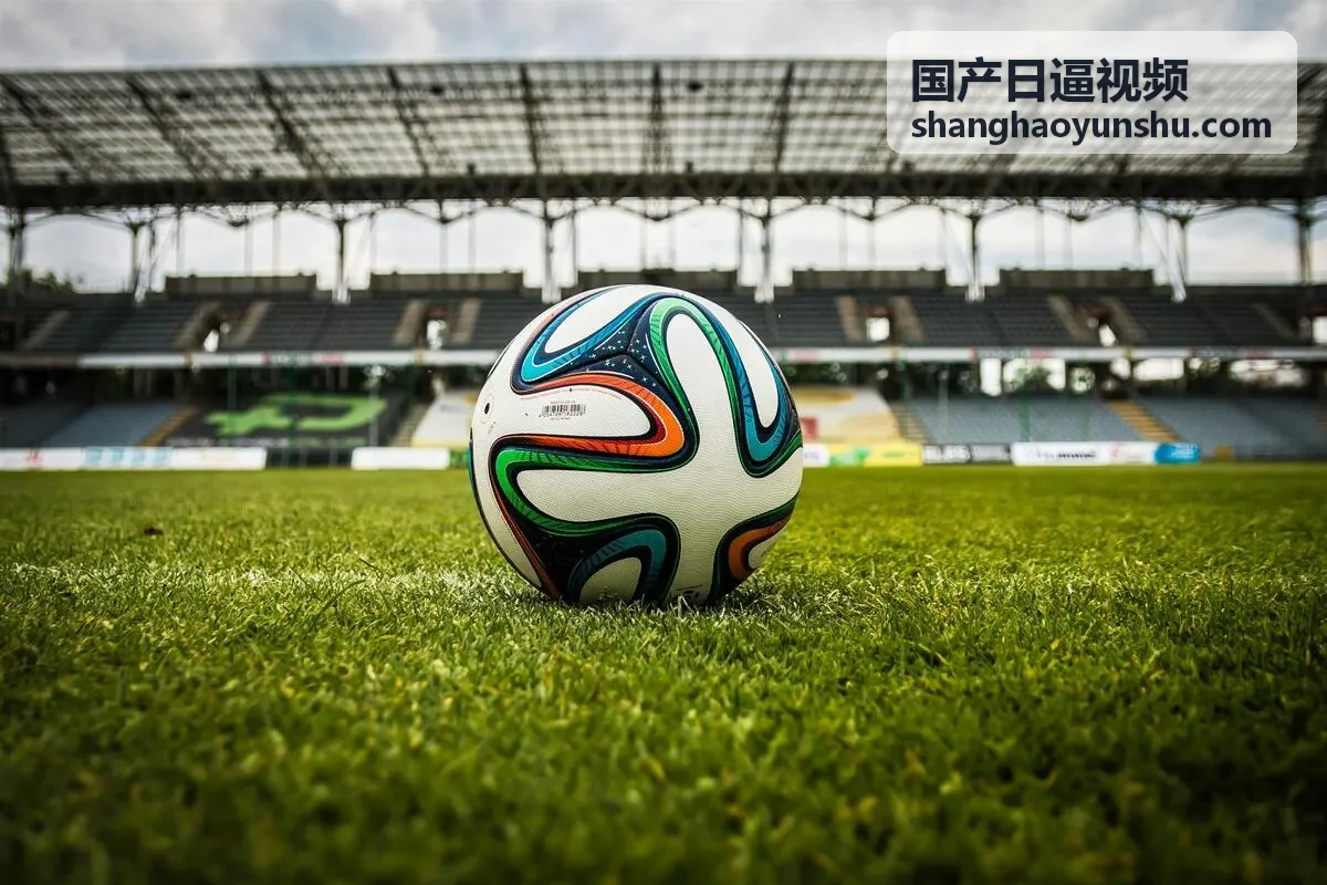手机在线播放国产日逼视频界面示意