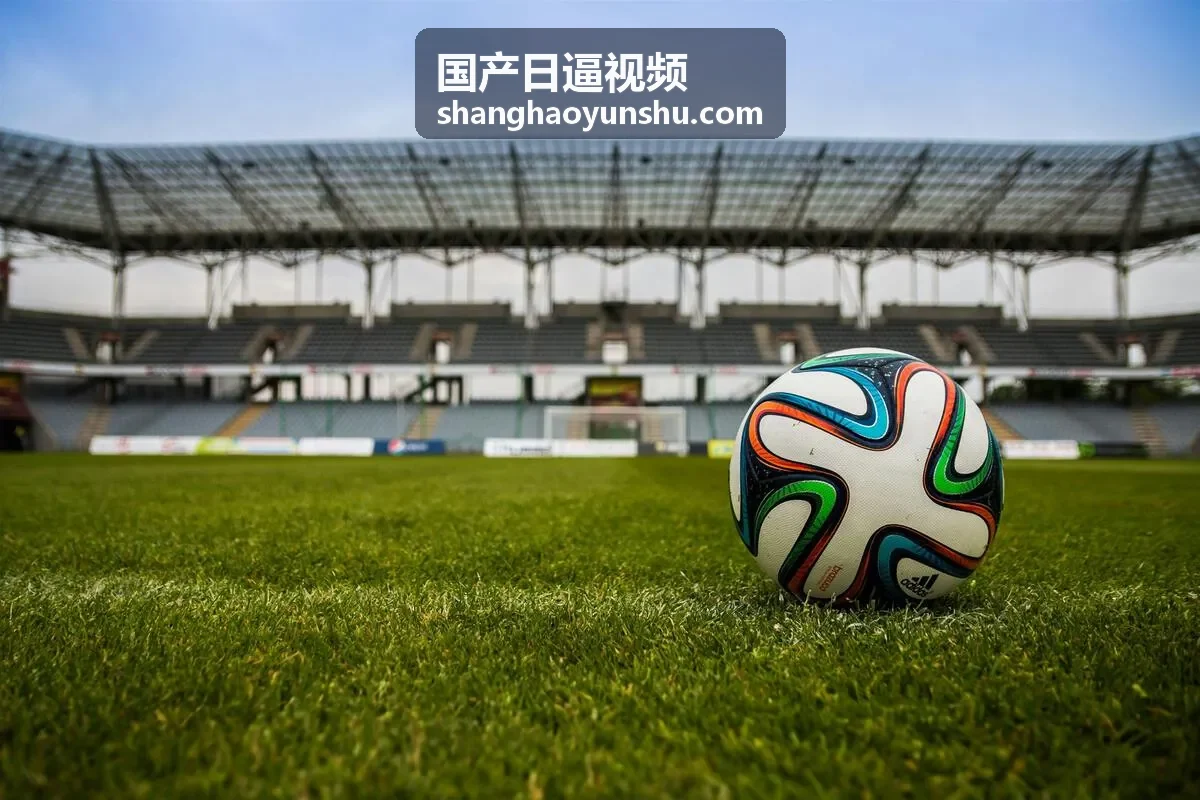 每日精选国产日逼视频场景配图