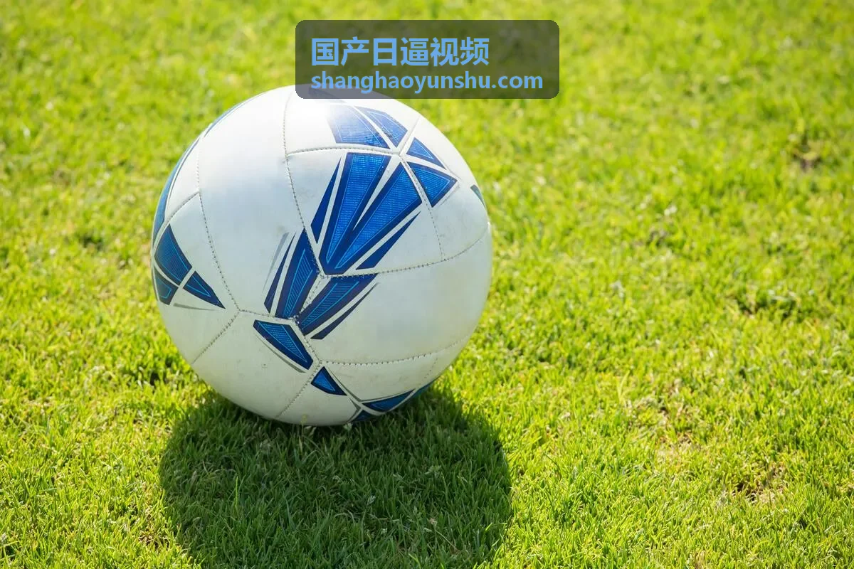 国产日逼视频今日推荐封面